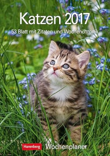 Katzen - Kalender 2017: Wochenplaner, 53 Blatt mit Zitaten und Wochenchronik