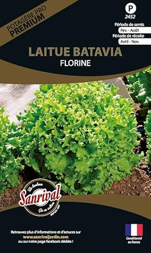 Graines potagères Premium laitue Batavia Florine