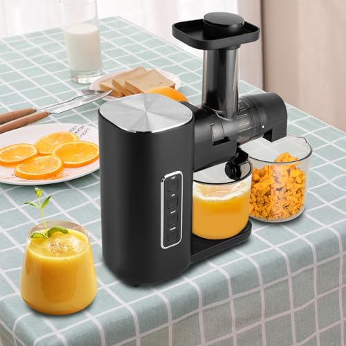 0.6L Entsafter mit Reversierfunktion, Elektrische Saftpresse Slow Juicer zum Entsaften von Äpfeln, Orangen, Wassermelonen, Karotten, Gurken, Tomaten 27 * 22 * 11cm (Schwarz)
