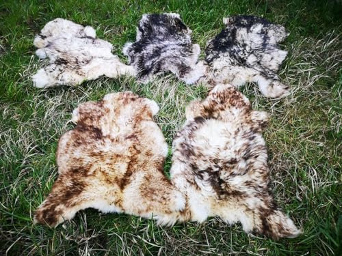 Provellus Echt Öko Schaffell Lammfell Fell Geflammt Bis 140cm 2.Wahl Schnäppchen (eher dunkel geflammt, 90-100cm lang)