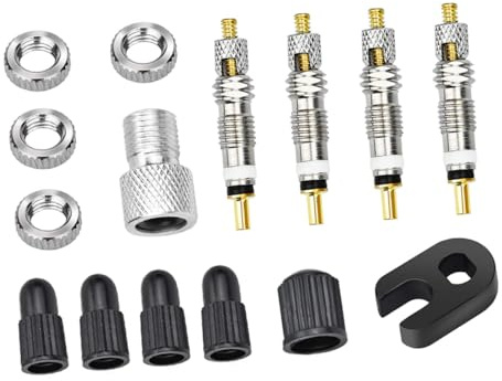 TOBBOMEY Kit de Noyaux de Valves Françaises pour Pneus de Vélo Rechange Inoxydable pour VTT et Vélo de Route Remplacement et Pratique
