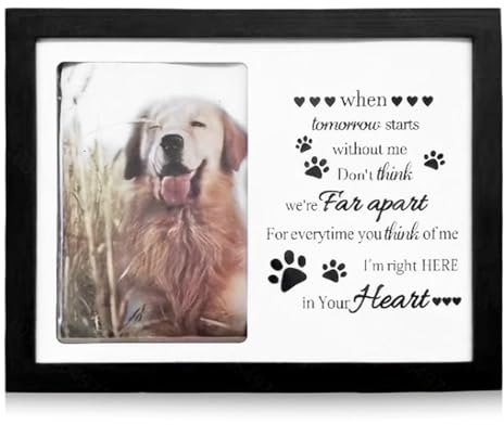 Behogan Marco conmemorativo para perros y gatos, placa conmemorativa LED para mascotas con foto y texto, marco de fotos personalizado para amantes de los perros, taza, marco de madera para perros o