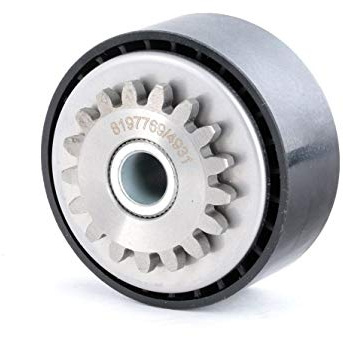 RIDEX 310T0099 Polea tensora correa poli V Compatible con PEUGEOT 206 Fastback 2A/C