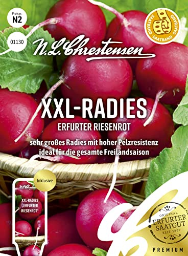 XXL- Radies Erfurter Riesenrot, Saatband sehr großes Radies mit hoher Pelzresistenz, Samen