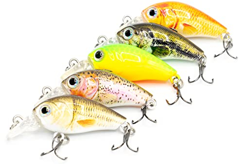 Mister Tackle BX-1 Angelköder Wobbler Set Crankbaits für Barsch und Forelle Spinnfischen - 5 Kunstköder Inklusive Box
