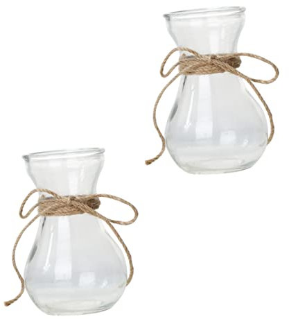 Yardenfun 2pcs Transparent Glass Craft Vase Unique Flower Container Ornament Glass Flower Vasfor Indoor and Outdoor Use Simple Decorative Hydroponic Plant Base and Stable Design