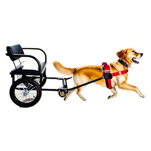 DWZL Hundezugwagen mit Sitz und abnehmbarem Anhänger - Für Hunde von 10 bis 60 kg (22 bis 132 lb) - Mit Zuggurt, 14 Zoll (36 cm) All-Terrain-Reifen + Fußbremse(Size:Dog Weight 40-60kg)