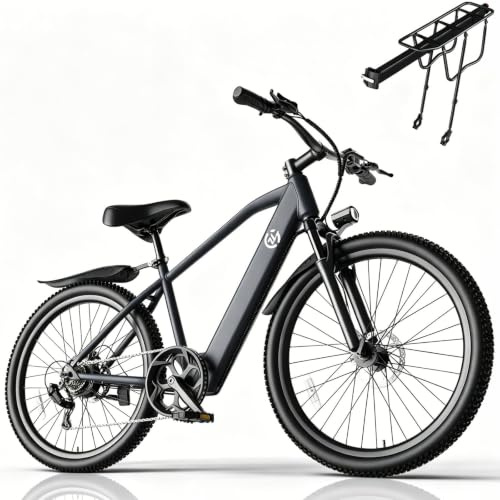 Fanesen E-Bike für Erwachsene 26'' Fahrrad Elektro Herren Damen City Trekkingrad 80km Reichweite 250W Motor 36V 10.4Ah Akku mit 7-Gang-Getriebe Pedelec Citybike mit Heckausleger