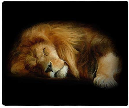 YISUMEI Decke Schlafender Löwe Kuscheldecken Weich Flanell Fleecedecke Bettüberwurf(150x200cm)