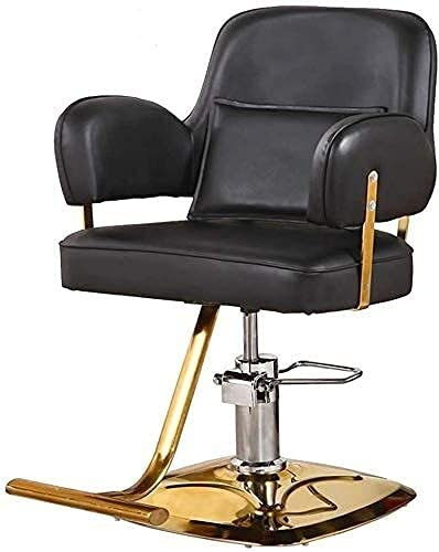 AuLYn Hydraulischer Stuhl für Unternehmen oder Zuhause, hydraulischer Haarstyling-Friseurstuhl für Friseure, Ergonomie, hydraulischer Friseur (420 lbs) (Farbe: Grau + Silber) (Schwarz + Gold)