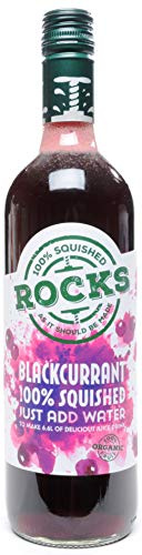 Rocks Bio-Kürbis, schwarze Johannisbeere, 740 ml, 2 Stück