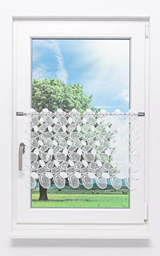 Plauener Spitze Scheibengardine Kieselsteine (Bx H) 64cm * 45cm weiß