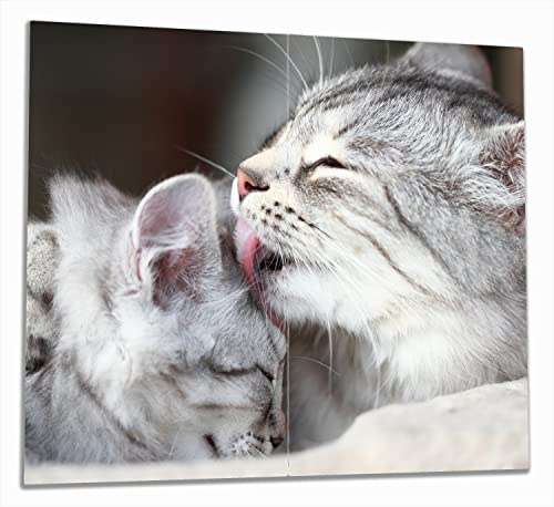 Wallario Herdabdeckplatte/Spritzschutz aus Glas, 2-teilig, 60x52cm, für Ceran- und Induktionsherde, Süße kleine getigerte Katzenbabys