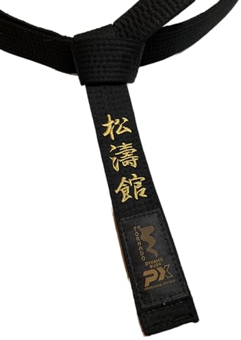 TEKKA BUDO Karategürtel schwarz - Bestickt - Shotokan - Schriftzeichen Bestickung Gold - Schwarzgurt Kanji japanisch - Schwarzer Gürtel