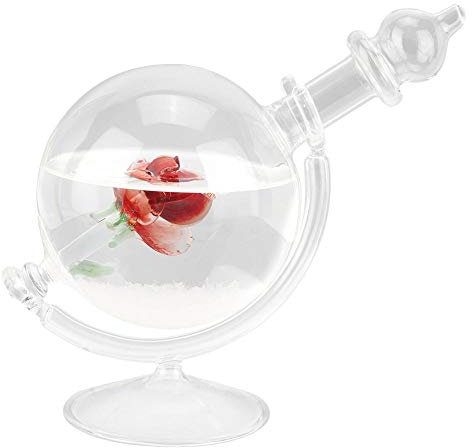 FPDZMDH Glass Weather Forecast Weather Station, Crystal Bottle Globe Water Shape Windstorm Glass Glass Weather Predictor Barometer Bottle Home Decor Gift/298
