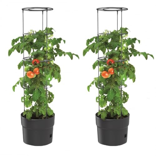 BirnePower 2X Tomatentopf Blumentopf Tomatenkübel 28L Topf für Tomatenpflanzen Tomatenzüchter mit Wasserspeicher Pflanzkübel mit Rankhilfe Rangitter Ø 40 cm H 153 cm