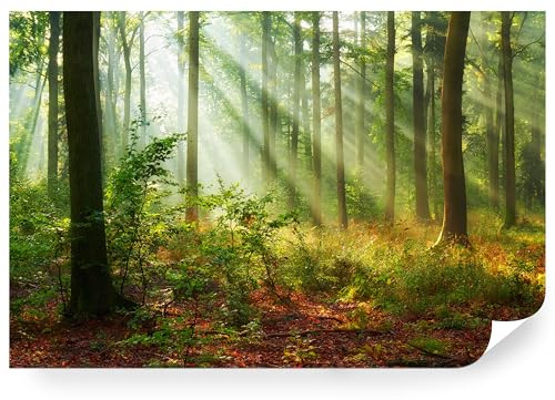 Fototapete Wald Grün Premium Vlies - Vliestapete Tapete Wandtapete Motivtapeten Vliestapeten Wohnzimmer Schlafzimmer moderne Wand Bildtapete Landschaft Natur Baum 208 x 146 cm