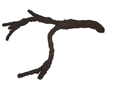 Komodo Tropical Vine Branch, Large,Brown