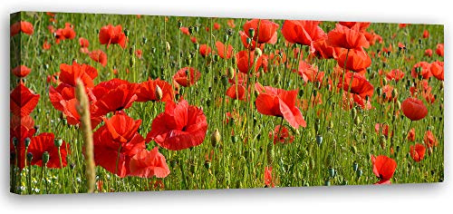Leinwandbild XXL Mohnblumen Wandbild Kunst abstrakt Rot 150x60 cm