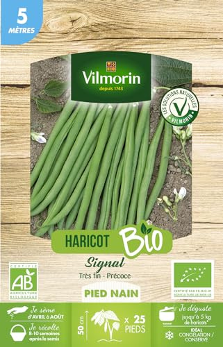 Haricot Nain Vert Signal - 5 m - BIO