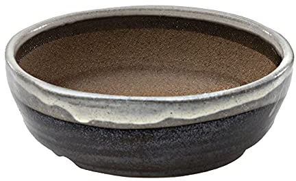 Wazakura Shigaraki Serie Bonsai Schale aus glasierter Keramik mit Drainage, 17 cm, hergestellt in Japan, handgefertigter Garten-Trainingsbehälter, Sukkulentenschale - Weiß