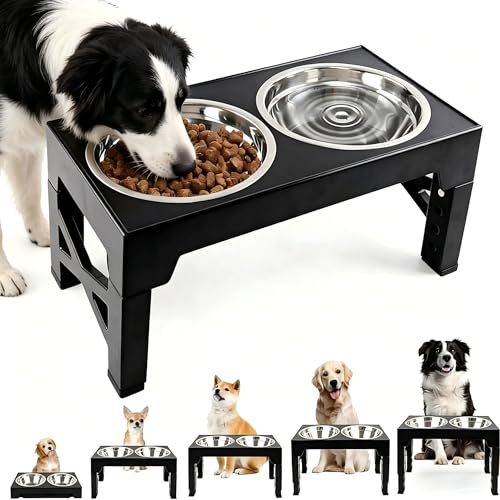 Dog Feeding Bowl Raised Dog Bowl Stand with 2 Stainless Steel Dog Bowls for Cats and Dogs Pet Feeder Bowls with Anti Slip Feet Double Feeder High Stand for Small Medium and Large Dogs Cats