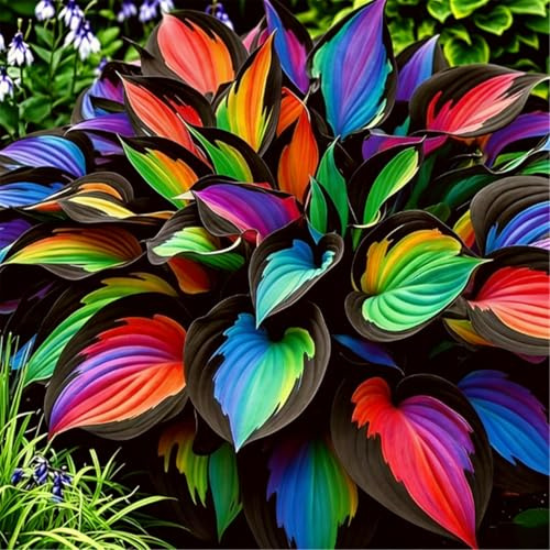 Hosta sin luz solar - Resistente a la sombra para interiores y exteriores - Regar es suficiente-4 piece-I