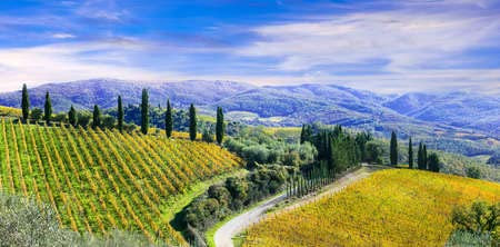 adrium Holz-Bild 140 x 70 cm: traditionelle toskanische Landschaft. Weinberge und Zypressen. Italien (68962075)