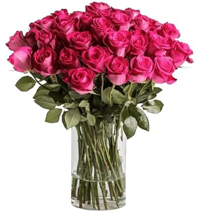 Ramo de Rosas Naturales Flores Frescas Color Rosa Oscuro Ramo con 25 Flores de Temporada