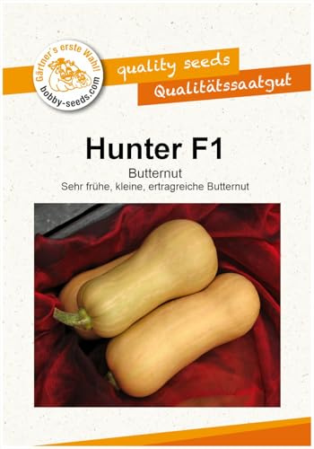 Hunter F1 Kürbissamen von Bobby-Seeds, Portion