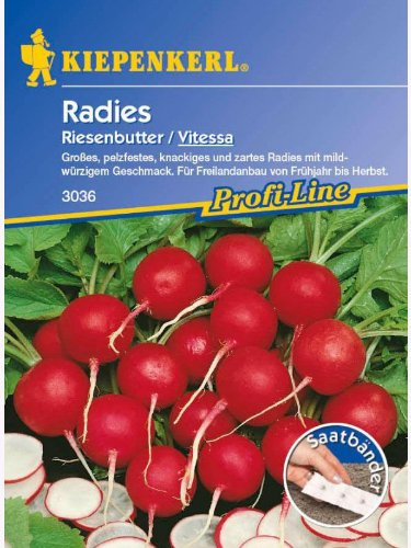 Radies Riesenbutter Vitessa Saatband