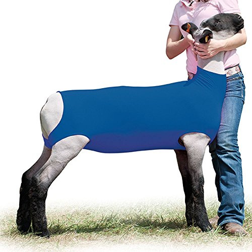 Weaver Leather Livestock Cotton Lamb Tube, Blue, Medium