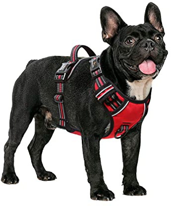 HEELE Hundegeschirr ohne Zug, Brustgeschirr für kleine Hund, einstellbares reflektierendes Hunde Geschirr, atmungsaktive Hundegeschirre mit gepolstertem Griff, No-Pull Dog Harness, Rot, S | Brustgeschirre für Hunde Anti Zug, Ohne Kopfdurchzug, Halsverschluss mit Sicherung, D-Ringe, Weich Gepolstert Reflektierend