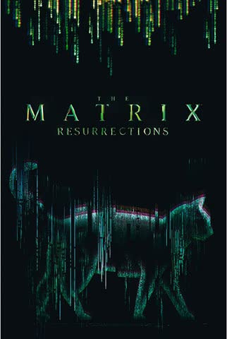 empireposter Matrix - Cat - Druck Plakat Film Poster - Größe 61x91,5 cm + 2 St Posterleisten Alu 63 cm