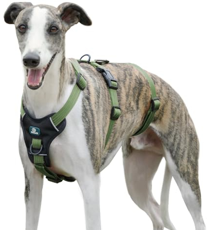 Paworld Sicherheitsgeschirr Hund, Panikgeschirr für Hunde, Ausbruchsicheres Geschirr Hund, Anti Zug Hundegeschirr, Atmungsaktiv, Verstellbare Weste für Klein Hunde, Gehen und Training (Grün, S)