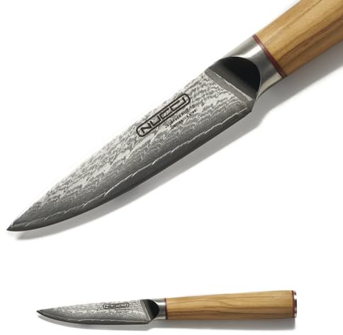 CLASSE ITALY Coltello Spelucchino cm 8 in Acciaio Giapponese AUS 10 a 67 strati, Affilato a mano, Manico in Olivo, Panno pulizia incluso