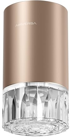 Airversa Waterless Essential Oil Diffuser for Home Room Desk Car Air Freshener Diffuser, Up to 600 sq ft, Battery Operated, Mist Level and Timer Settings, 100mL Capacity, Cold Air, RD1 Titainium