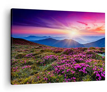 ARTTOR Tableau sur Toile Décoratif 70x50 cm Paysages Nature - 2719 | Prairie Montagne Ciel Impression sur Toile Décoration Murale Art Mural Toile Imprimée Salon Chambre Cuisine ARTTOR