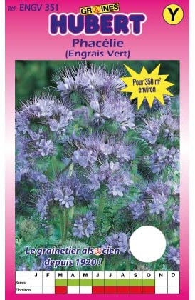Graines de Phacélie Pour 350 m² - Engrais Vert - 350 grammes