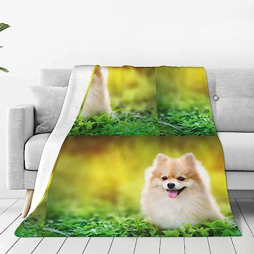 Niedliche Hunde-Waschlappen-Decke, superweicher Bezug für Sofa, Bett, Reisen, Zimmer, warm, alle Jahreszeiten, 203 x 152 x 76 cm