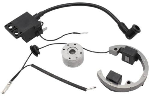Kit de Volant d'inertie à Rotor Interne de Moto GY6, allumage AM6, Stator, 2 Temps, 50cc SX 50, réglage de cyclomoteur, Motocross