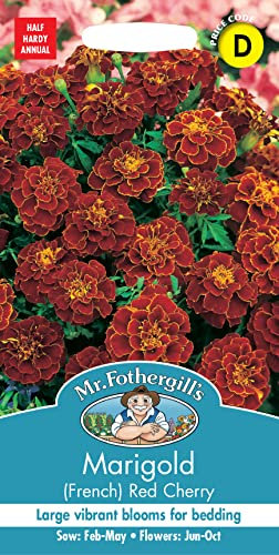 Mr. Fothergill's 16071 Marigold French Red Cherry Flower Seeds, mahogany-red