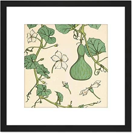 Artery8 Verneuil Ornamental Gourd Squash Plant Design 9X9 Inch Square Wooden Framed Wall Art Print Picture with Mount