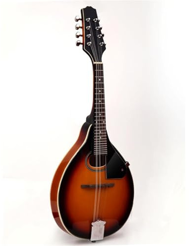 Mandoline De Pour Débutants Mandoline Instrument De Musique National D'entrée De Gamme Pour Débutant