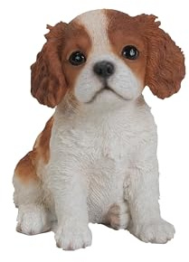 hi-line Geschenk LTD, King Charles Welpe sitzend