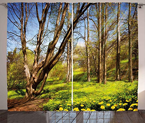 ABAKUHAUS Natur Rustikaler Gardine, Frühlingswaldblumen, Schlafzimmer Kräuselband Vorhang mit Schlaufen und Haken, 280 x 175 cm, Braun Blau