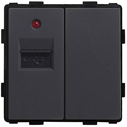 BSEED DIY 1/2 USB Ethernet Steckdose Schwarz Ladesteckdose