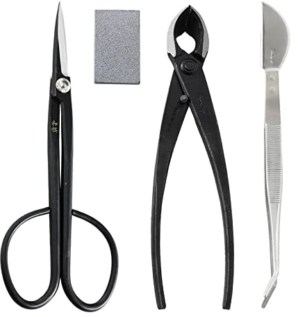 Wazakura Set de 4 Outils Essentiels pour Bonsaï Fabriqués au Japon, Ciseaux Coupe Brindilles en Acier Yasugi Japonais 200mm, Coupe Branche, Pince Multifonction en Acier Inoxydable. Gomme Nettoyante