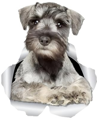 Autoaufkleber Schnauzer Hund Aufkleber 15cm(5.9 Inch) Schnauzer Hund Car Sticker 3D Zerrissen Autoaufkleber Wasserdichte Reflektierende Aufkleber Lustig Dekor