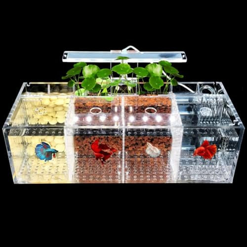 UPWONEC Aquarium Betta en Acrylique HD, Aquarium en Verre Biologique De Bureau, Aquarium Aquaponique Transparent Moderne, Lumière LED Et Système De Filtre, Bol À Poisson Rouge Rectangulaire,4 Rooms